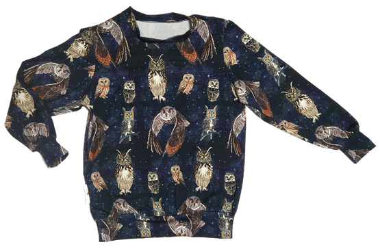 PAJU oloasu / pyjama YÖPÖLLÖT 86-152cm 