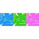 COSMIC GIRLS (WJSN) - FOR THE SUMMER (SPECIAL ALBUM)