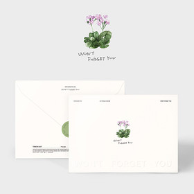 KIM SUNG KYU - WON'T FORGET YOU (SINGLE ALBUM)