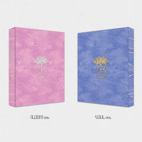 KINGDOM - HISTORY OF KINGDOM: PART Ⅵ. MUJIN (ALBUM)