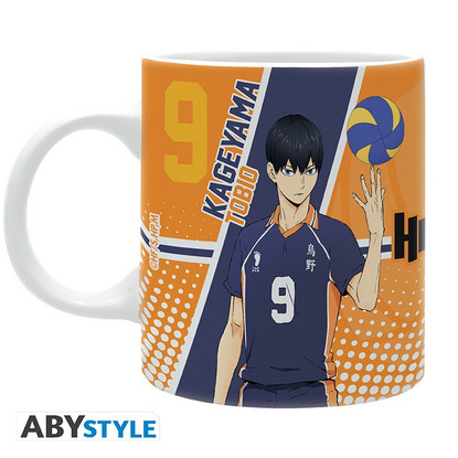 HAIKYU!! - Hinata & Kageyama - muki