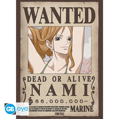 One Piece - Nami & Robin - julistesetti