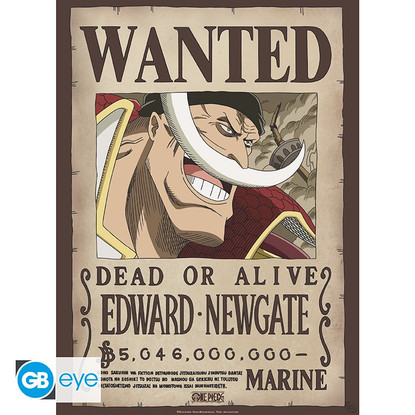 One Piece - Roger & Whitebeard - julistesetti