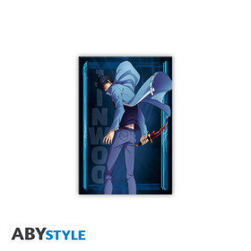 Solo leveling - Jinwoo - magneetti