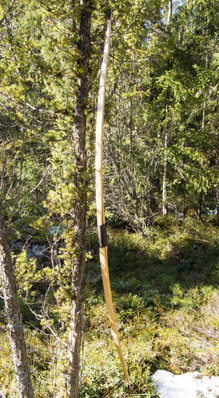 D/R Pitkäjousi (47#@28