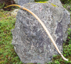 Pitkäjousi, vaahtera-kataja, 34#@28