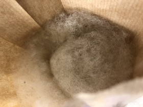 Felting wool