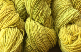 Komiee Auringonkukka