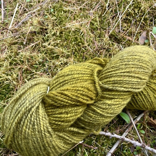 Mäläkki Moss