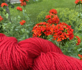 Hupulaanen Palava Rakkaus