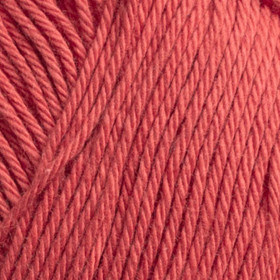 Lisa 8/4 Cherry tomato