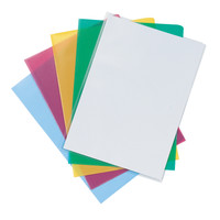 Muovitasku värilajitelma A4 PP120 LPS 100kpl laatikko