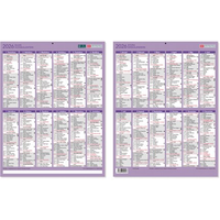 Suuri vuosikalenteri 2026 310 x 400mm