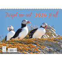 Forget-Me-Not-Wall 2026 seinäkalenteri 290 x 420 mm
