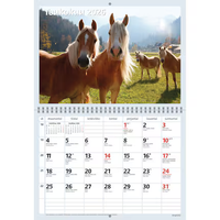 Hevoset 2026 seinäkalenteri 290 x 420mm