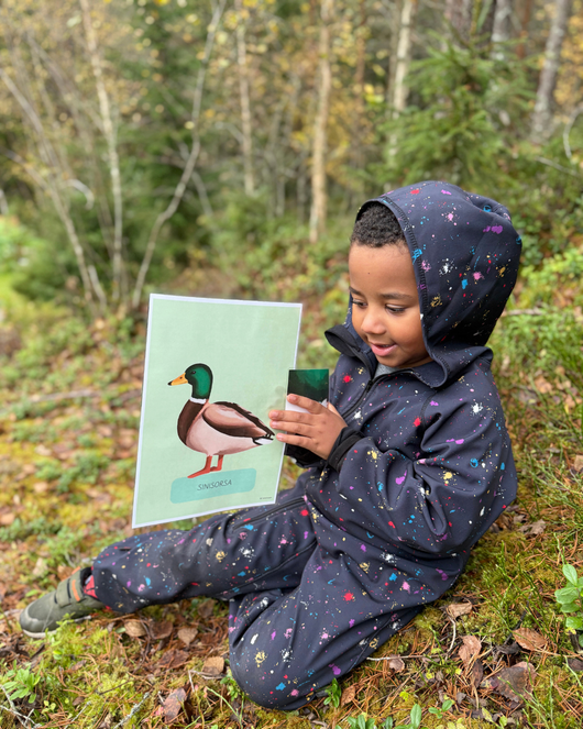 Materiaalia lasten lintuviikkoon 11.-17.5.2026