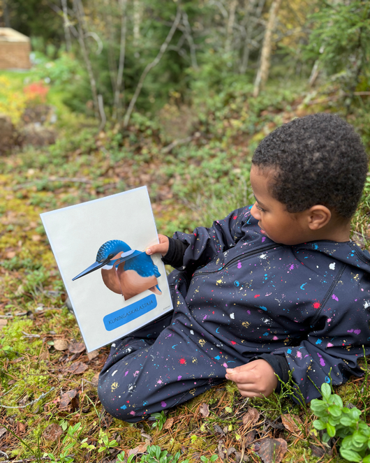 Materiaalia lasten lintuviikkoon 11.-17.5.2026