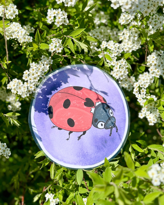 Hyönteis- ja matelijalorut