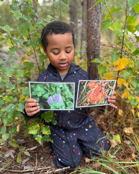 Syysvalokuvia kysymyksineen ja teksteineen