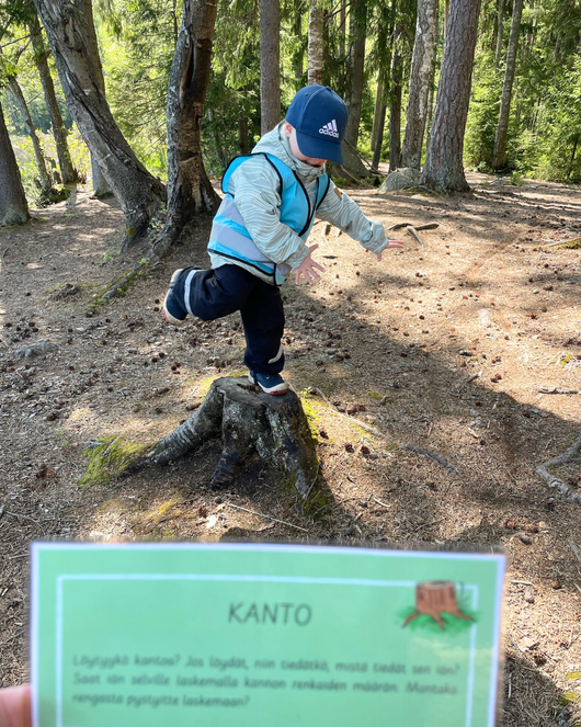 27 metsätehtävää lasten kanssa