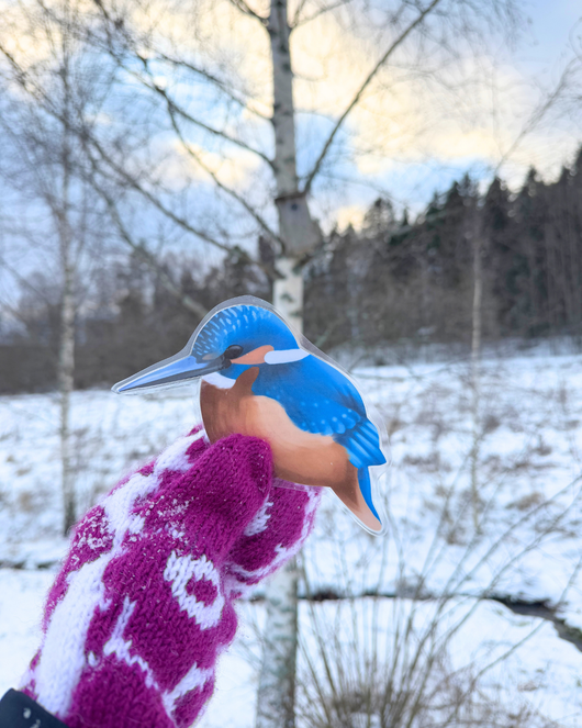 Lintulorut osa 2 (talvilintujen pihabongausta vietetään 24.–25.1.2026!)