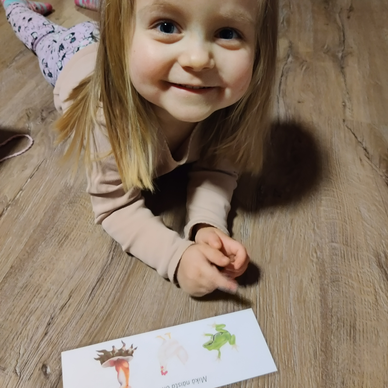 Mikä näistä (...on karvaisin, iloisin...?) -kortit osa 2