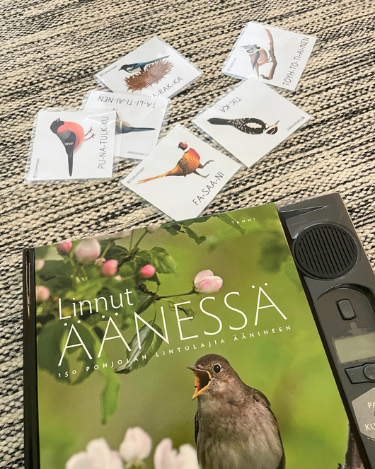Materiaalia talvilintujen parissa (lasten pihabongaus 25.–26.1.2025)