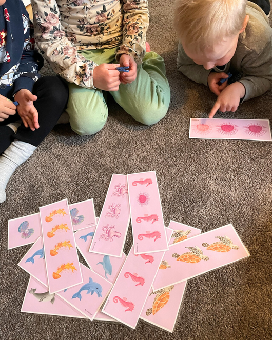 Toiminnallinen merieläinmatikka 