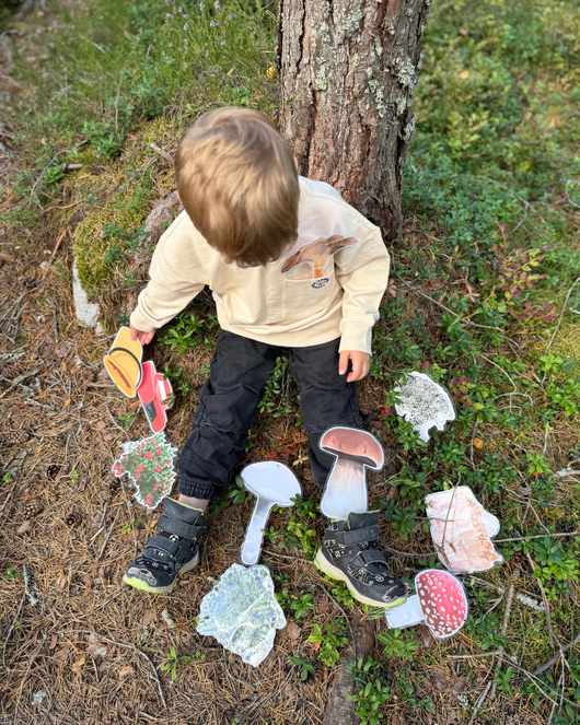 Metsälorut (sienilorut, marjalorut, sienestys, marjastus)