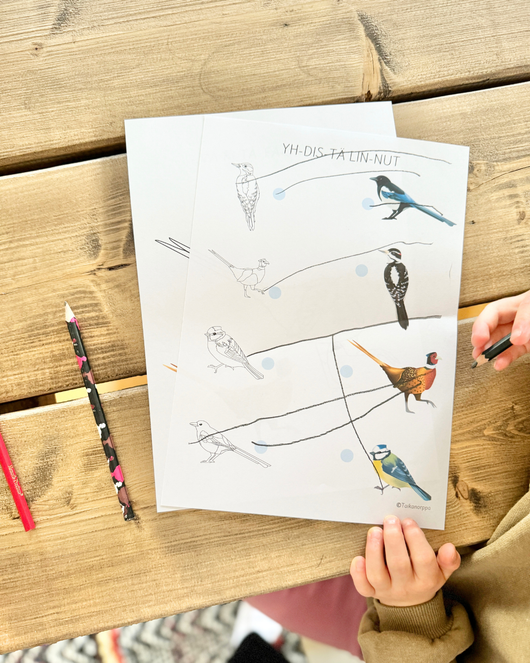 Materiaalia talvilintujen parissa (lasten pihabongaus 24.–25.1.2026)