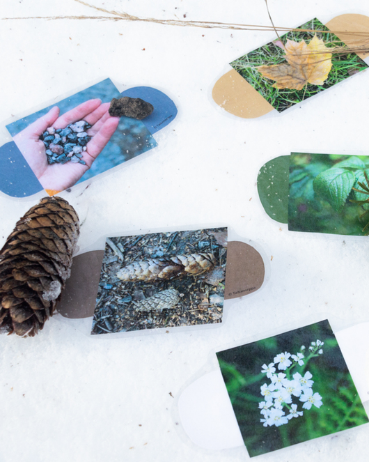 Väriliuskat luonnossa