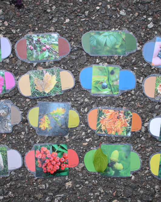 Väriliuskat luonnossa