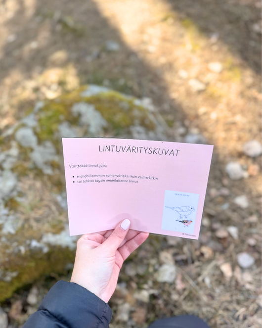 Materiaalia lasten lintuviikkoon 12.–18.5.2025