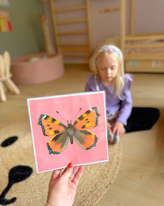 Eläinliikuntakortit osa 2 