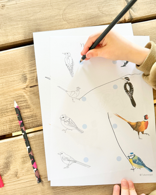 Materiaalia talvilintujen parissa (lasten pihabongaus 24.–25.1.2026)