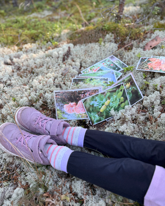 Syysvalokuvia kysymyksineen ja teksteineen