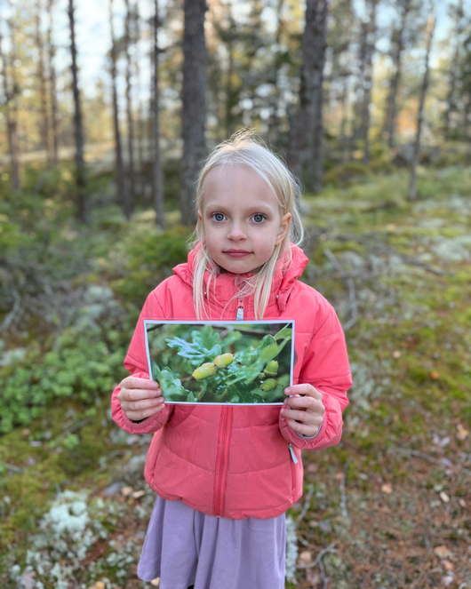 Syysvalokuvia kysymyksineen ja teksteineen