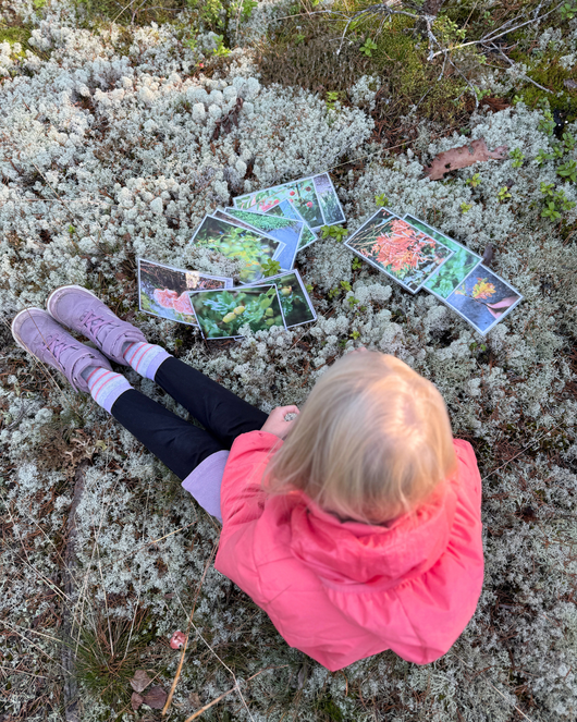 Syysvalokuvia kysymyksineen ja teksteineen