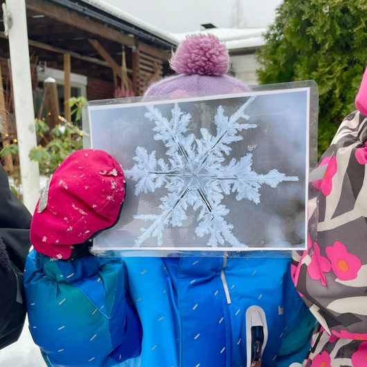 Talvivalokuvia kysymyksineen ja teksteineen