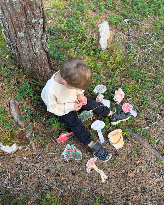 Metsälorut (sienilorut, marjalorut, sienestys, marjastus)