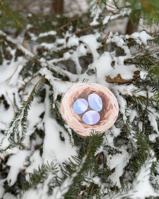 Lintulorut osa 1 (talvilintujen pihabongausta vietetään 24.–25.1.2026!)