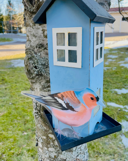 Lintulorut osa 1 (talvilintujen pihabongausta vietetään 24.–25.1.2026!)