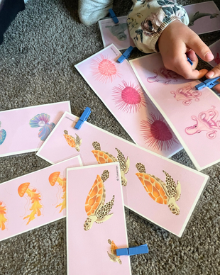 Toiminnallinen merieläinmatikka 