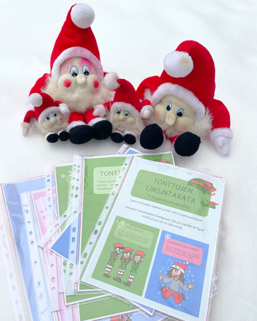 Liikunnallinen tontturata