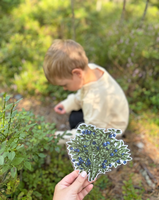 Metsälorut (sienilorut, marjalorut, sienestys, marjastus)
