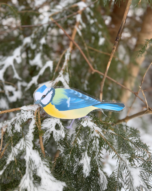 Lintulorut osa 1 (talvilintujen pihabongausta vietetään 24.–25.1.2026!)