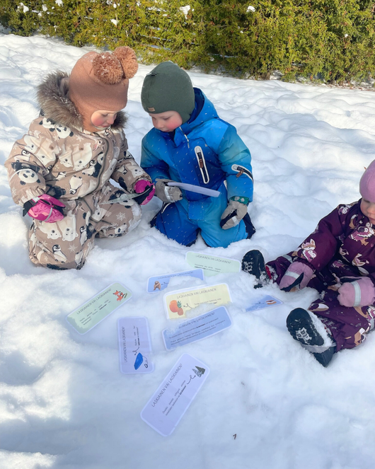 Laiskiaisen laskiaisseikkailu (laskiainen seuraavaksi 15.2. & 17.2.2026)