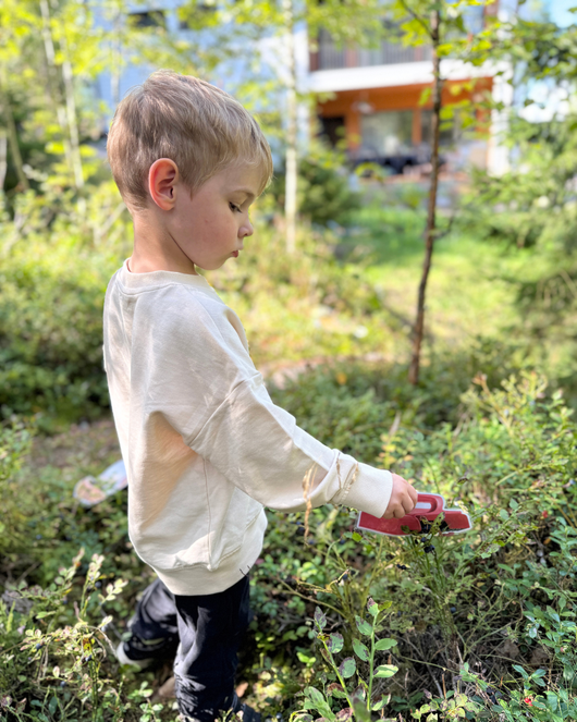 Metsälorut (sienilorut, marjalorut, sienestys, marjastus)