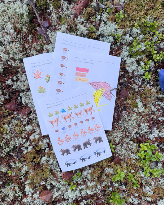 Syksyisiä hahmottamistehtäviä