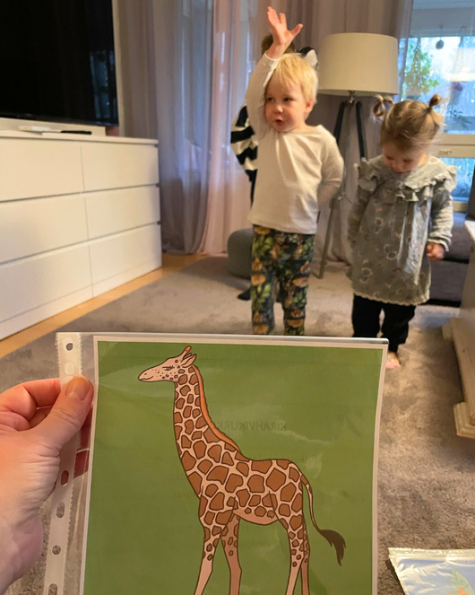 Eläinliikuntakortit